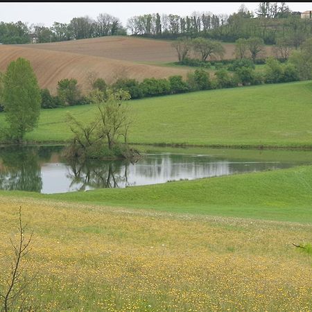 Seuls en Pleine Nature - Gîte la Côte Blanche Puygaillard-de-Quercy Exterior foto